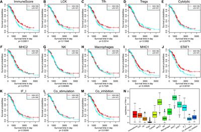 Identification of a Prognostic Signature for Ovarian Cancer Based on the Microenvironment Genes